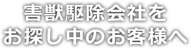 害獣駆除会社を お探し中のお客様へ