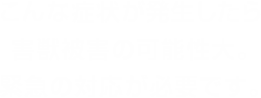 こんな症状が発生したら害獣被害の可能性大。緊急の対応が必要です。